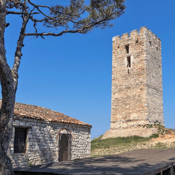 Picture 4 for Activity From Thessaloniki: Private Day Trip to Kassandra Chalkidiki