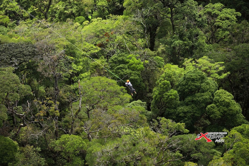 Picture 6 for Activity Monteverde: Jungle Zipline & Tarzan Swing with Transfer