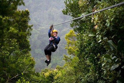 Monteverde: Zipline i jungelen og Tarzansving med transport