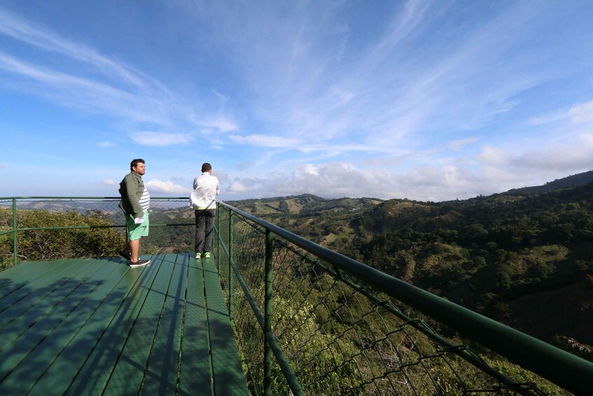 Picture 2 for Activity Monteverde: Jungle Zipline & Tarzan Swing with Transfer