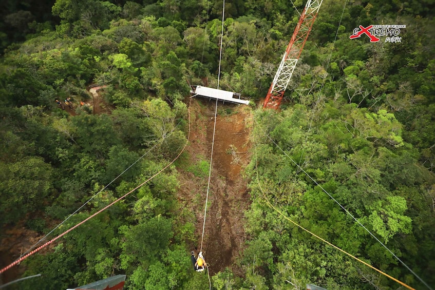 Picture 4 for Activity Monteverde: Jungle Zipline & Tarzan Swing with Transfer