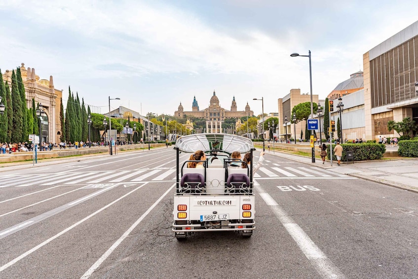 Picture 5 for Activity Barcelona: Private City Tour by Eco Tuk Tuk