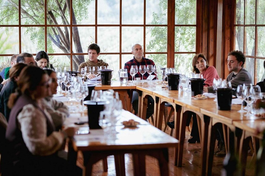 Picture 10 for Activity From Chile: Casa Marin's Wine Tour D.O Lo Abarca