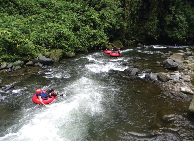 Picture 4 for Activity La Fortuna: Go Adventure Arenal Park 3 Attractions Tour