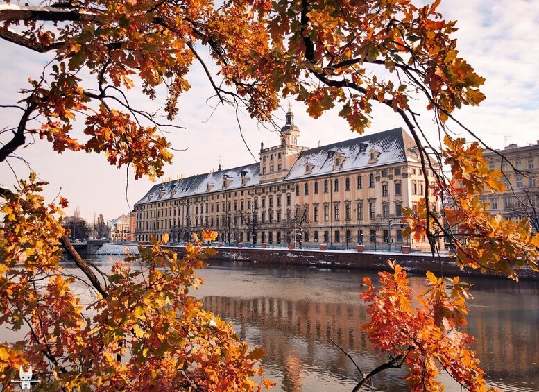 Picture 2 for Activity Hidden Gems of Wrocław Tour