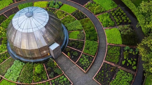 Recorrido a pie por el Jardín Botánico José Celestino Mutis (3 horas)