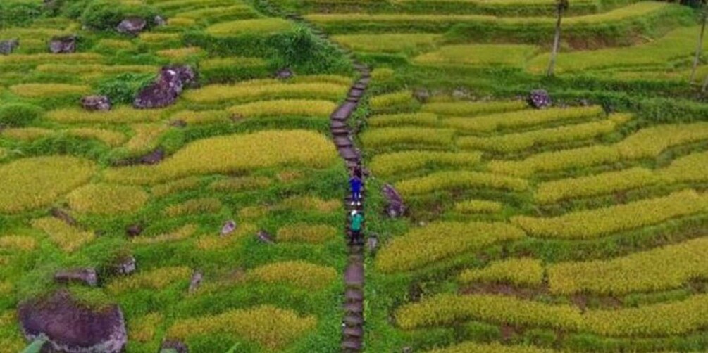 Picture 5 for Activity Ramboda: Village Trekking Tour with Authentic Village Lunch!