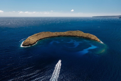 South Maui: Molokini Volcanic Crater Snorkelling Cruise