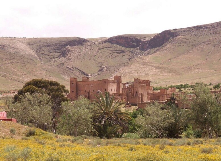 Picture 5 for Activity Agadir or Taghazout: 2-Day Zagora Desert Guided Tour