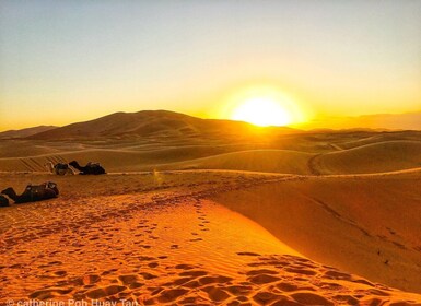 Agadir or Taghazout: 2-Day Zagora Desert Guided Tour