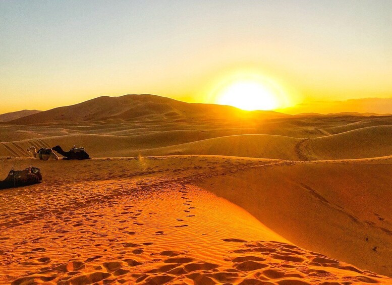 Agadir or Taghazout: 2-Day Zagora Desert Guided Tour