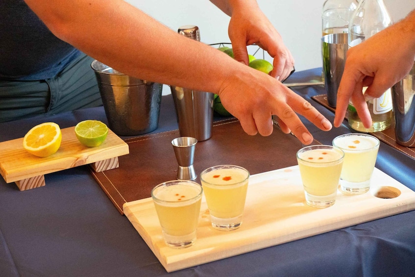 Picture 13 for Activity Santiago: Pisco Sour class with tastings