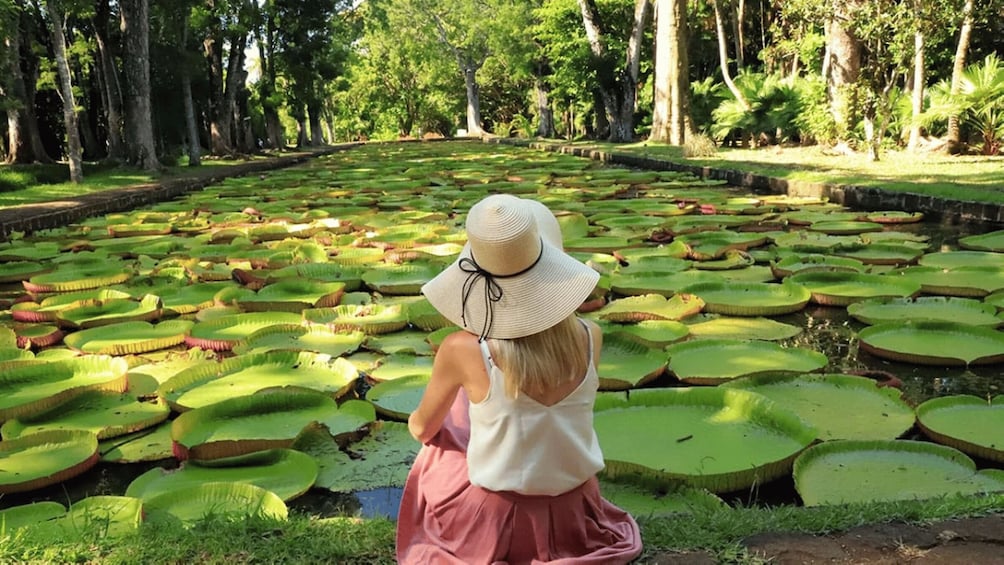 North Tour: Port Louis, Caudan, Citadelle, Botanical Garden