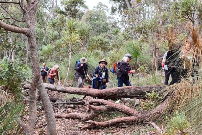 Picture 4 for Activity Dwellingup: Guided Hike and Scenic Train Ride with Lunch