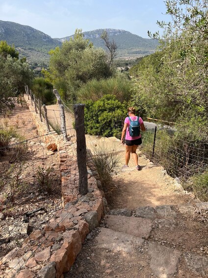 Picture 18 for Activity Valldemossa: Town and the most beautiful viewpoints