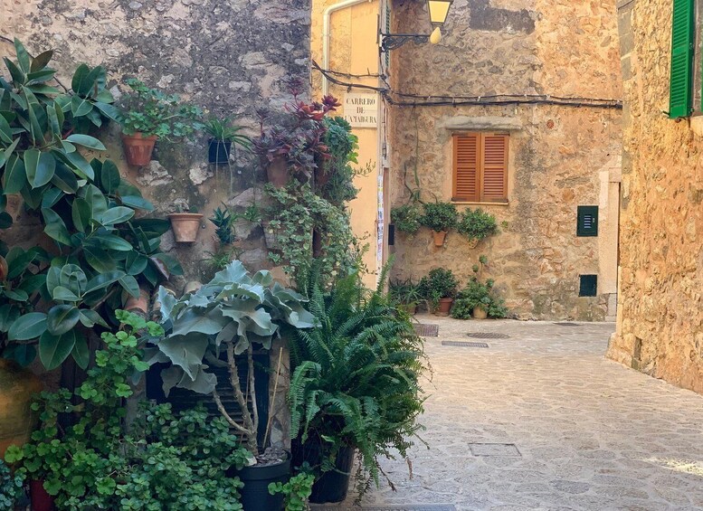 Picture 3 for Activity Valldemossa: Town and the most beautiful viewpoints