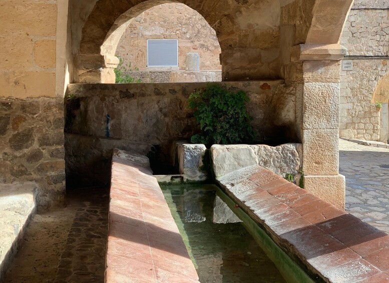 Picture 4 for Activity Valldemossa: Town and the most beautiful viewpoints
