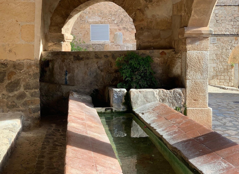 Picture 4 for Activity Valldemossa: Town and the most beautiful viewpoints