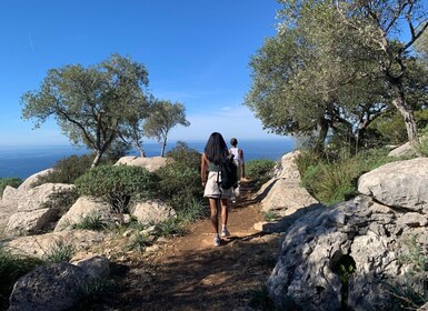 From Palma: Valldemossa Tour and Mountain Viewpoint Hike