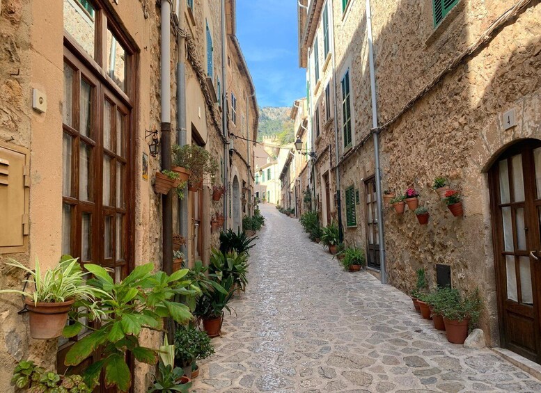 Picture 7 for Activity Valldemossa: Town and the most beautiful viewpoints