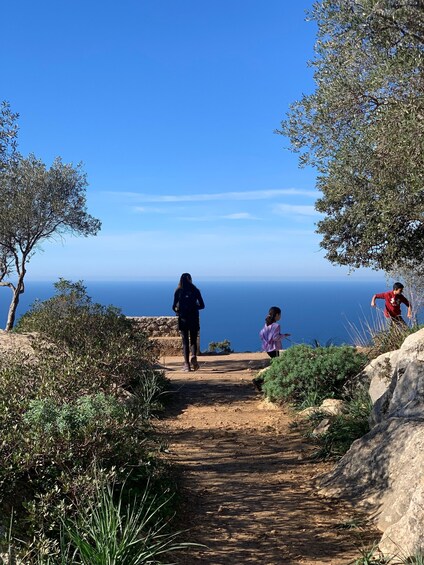 Picture 25 for Activity Valldemossa: Town and the most beautiful viewpoints