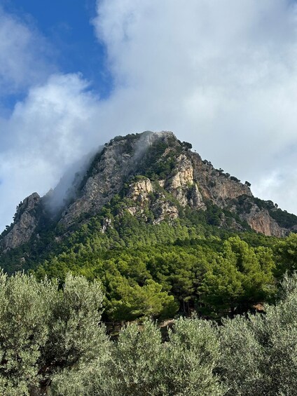 Picture 29 for Activity Valldemossa: Town and the most beautiful viewpoints