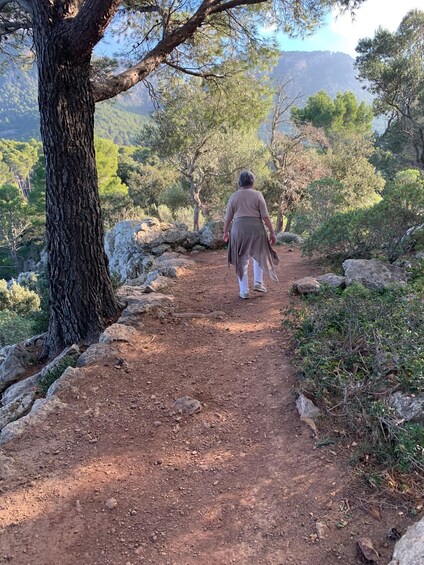 Picture 14 for Activity Valldemossa: Town and the most beautiful viewpoints