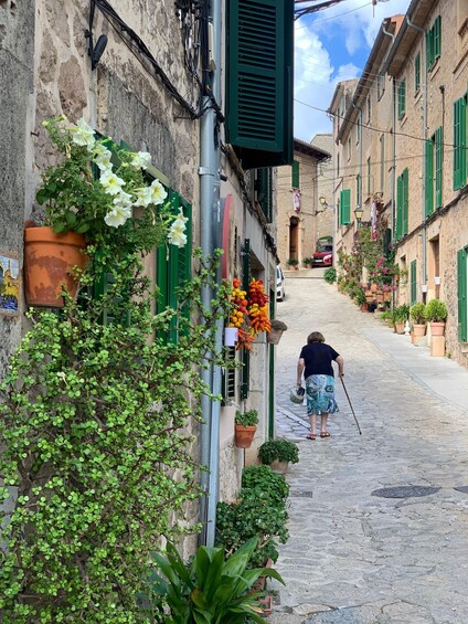 Picture 17 for Activity Valldemossa: Town and the most beautiful viewpoints