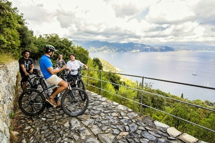 From Recco: Camogli to Portofino Park E-Bike Tour with Lunch
