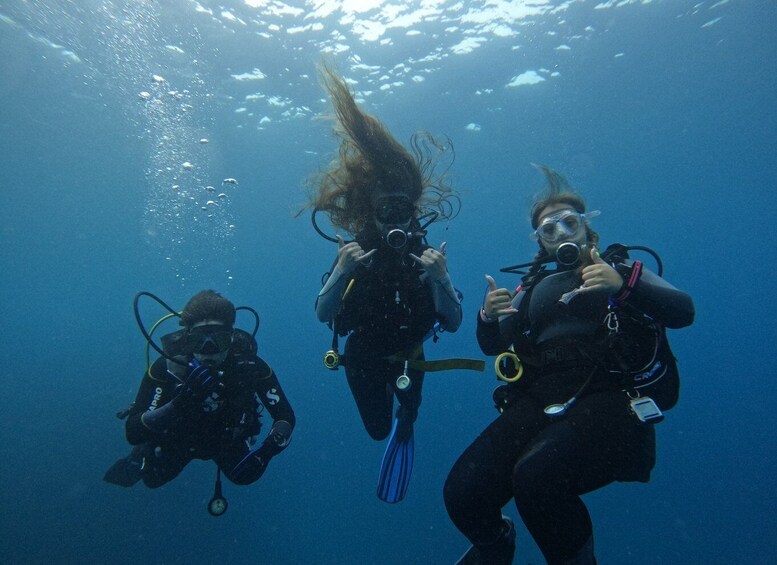 Picture 7 for Activity Tenerife: Puerto Colon Certified Scuba Dive by Speed Boat