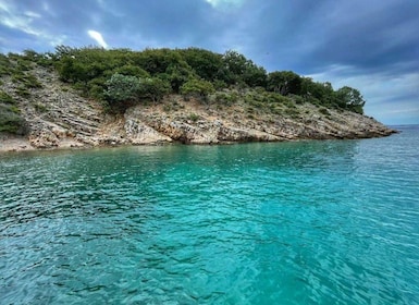 5,5h Plavnik Island: Swim & Snorkel with Capt. Bobo(Private)
