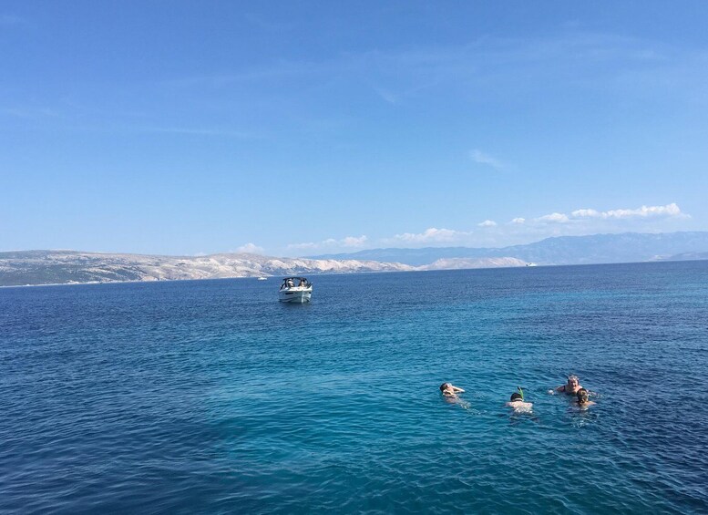 Picture 15 for Activity Swim and Snorkel with Capt. Bobo on Plavnik Island (Private)