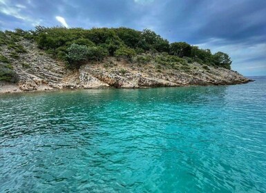 Swim and Snorkel with Capt. Bobo on Plavnik Island (Private)