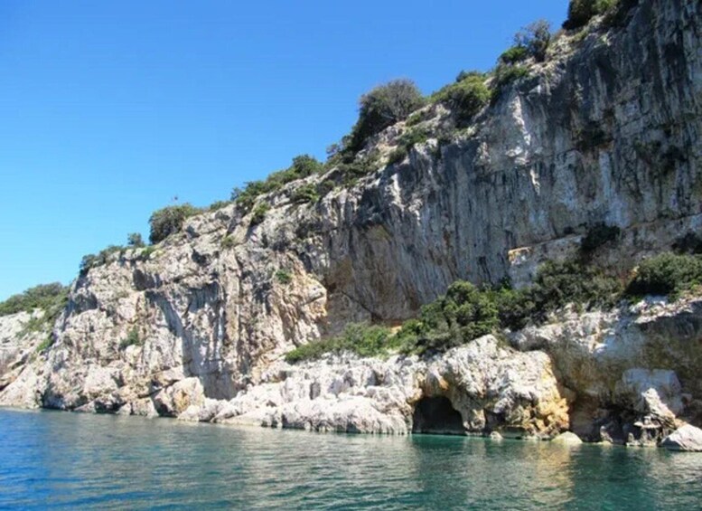 Picture 7 for Activity Swim and Snorkel with Capt. Bobo on Plavnik Island (Private)