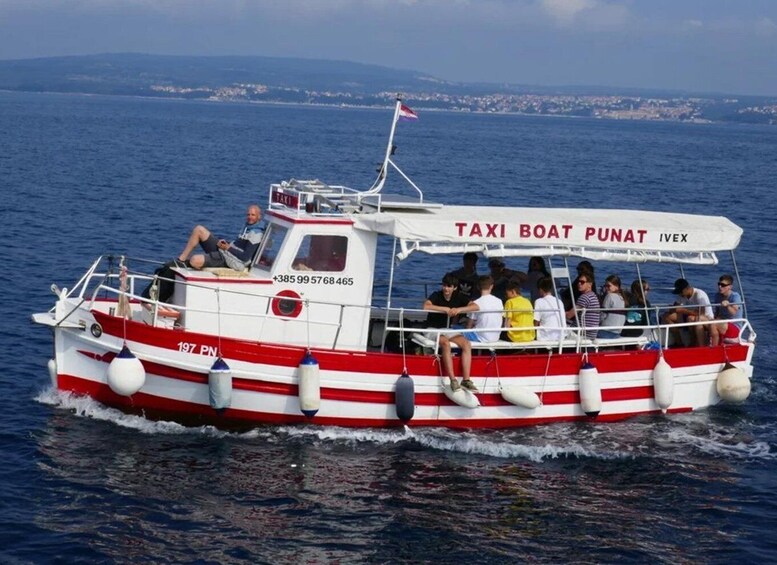 Picture 8 for Activity Swim and Snorkel with Capt. Bobo on Plavnik Island (Private)