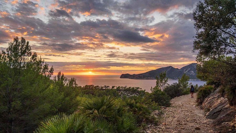 Port Andratx: Hiking Tour into the sunset to Sant Elm