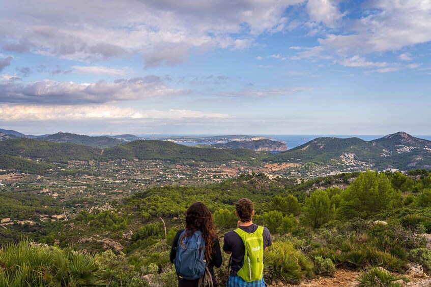 Picture 3 for Activity Port Andratx: Hiking Tour into the sunset to Sant Elm