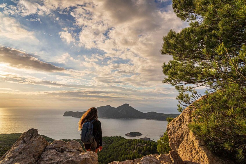 Picture 9 for Activity Port Andratx: Hiking Tour into the sunset to Sant Elm