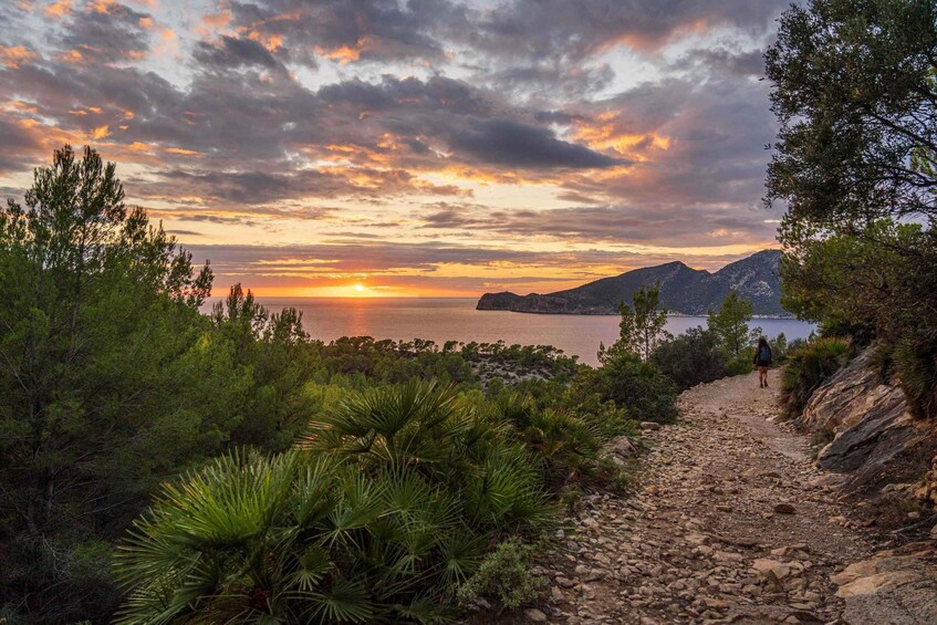 Port Andratx: Hiking Tour into the sunset to Sant Elm