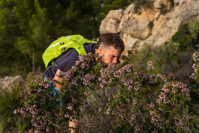 Picture 4 for Activity Port Andratx: Hiking Tour into the sunset to Sant Elm