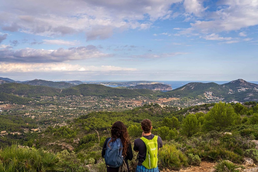 Picture 3 for Activity Port Andratx: Hiking Tour into the sunset to Sant Elm