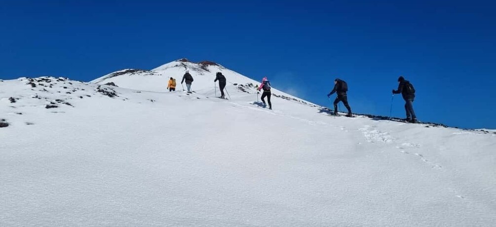 Picture 29 for Activity Mount Etna: Volcano Craters Hiking Tour