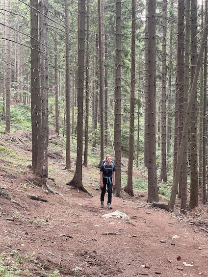 Picture 21 for Activity From Sarajevo: Half Day Hiking Tour to Skakavac Waterfalls