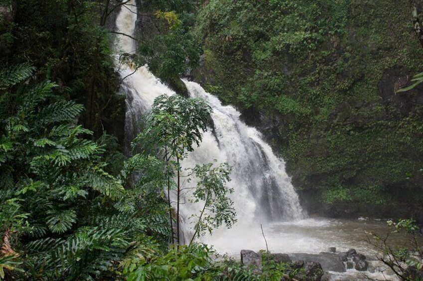 Private VIP Road to Hana Tour with Pick Up