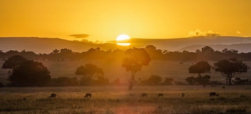 Tagestour zum Tsavo East Park National von Malindi aus