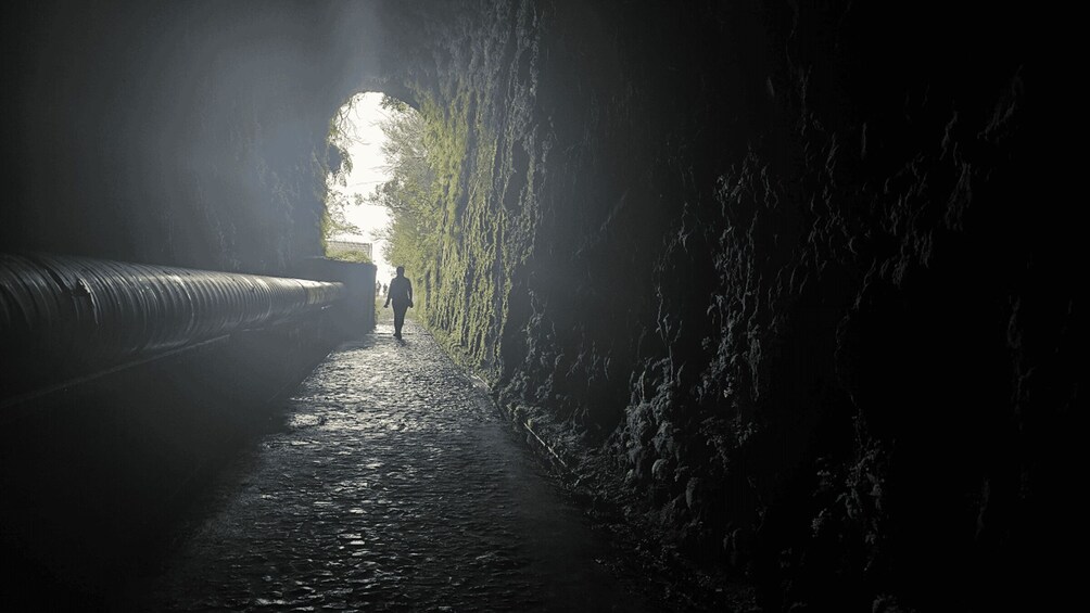 Picture 3 for Activity 25 Fontes Levada Hike- Rabaçal (Calheta)