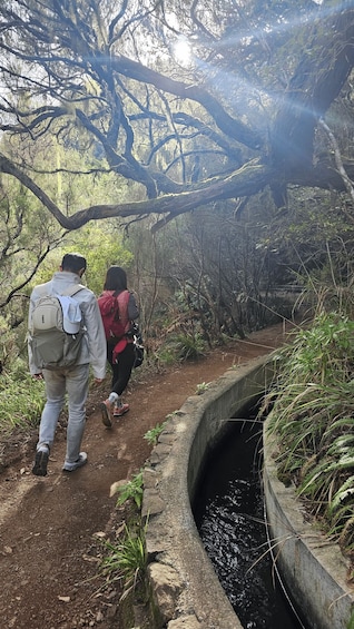 Picture 1 for Activity 25 Fontes Levada Hike- Rabaçal (Calheta)