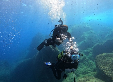 Try Scuba Diving without a certification in Villasimius