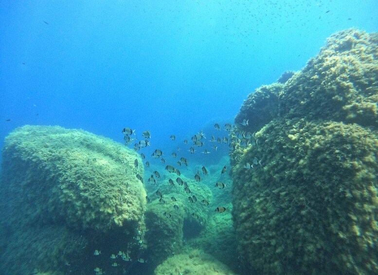 Picture 2 for Activity Villasimius: Scuba Dive in Capo Carbona without Certificate