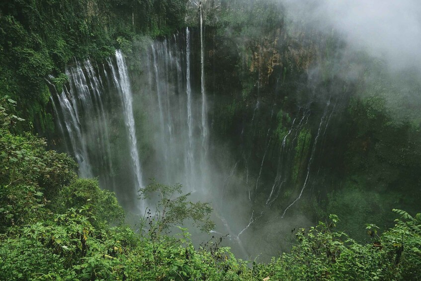 Picture 4 for Activity From Yogyakarta: Tumpak Sewu, Bromo, and Ijen 4-Day Tour